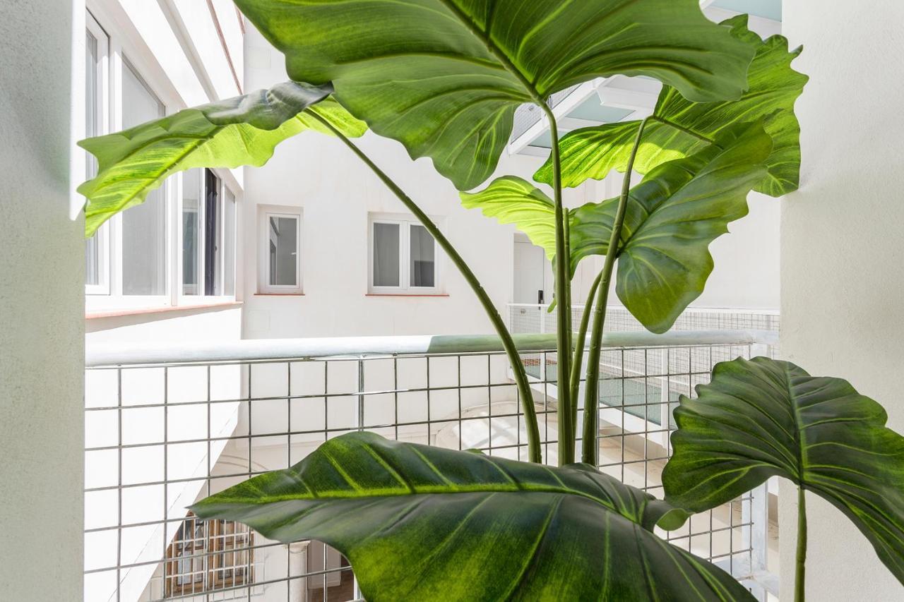 Апартаменты Dona Blanca Centro Diseno Minimalista Херес-де-ла-Фронтера Экстерьер фото